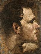 Domenico Beccafumi Head of a Youth Seen in Profile Germany oil painting artist